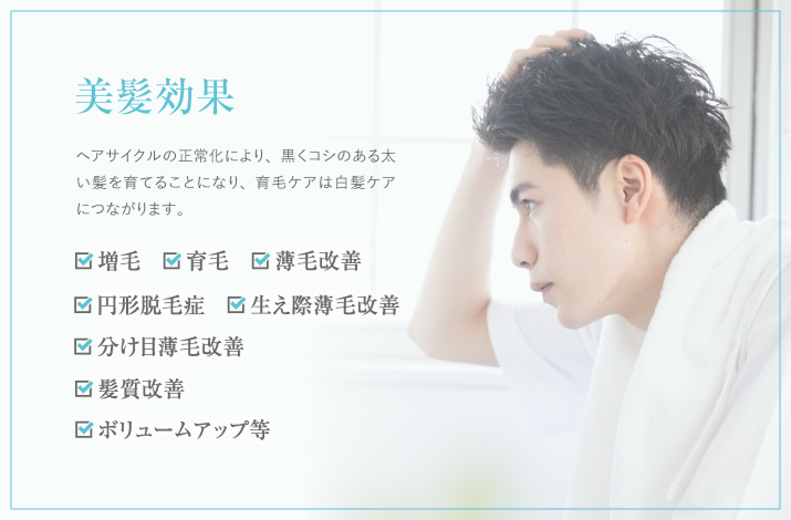 美髪効果